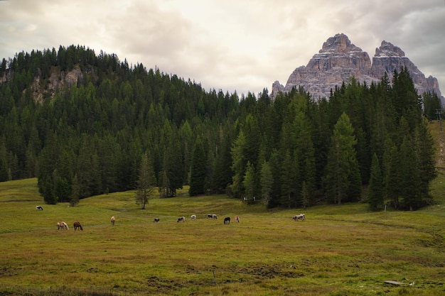 paesaggi di montagne e laghi nelle alpi dolomitiche italiane