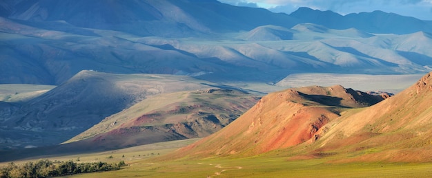 Paesaggi mongoli asciutti nel sud di Altai