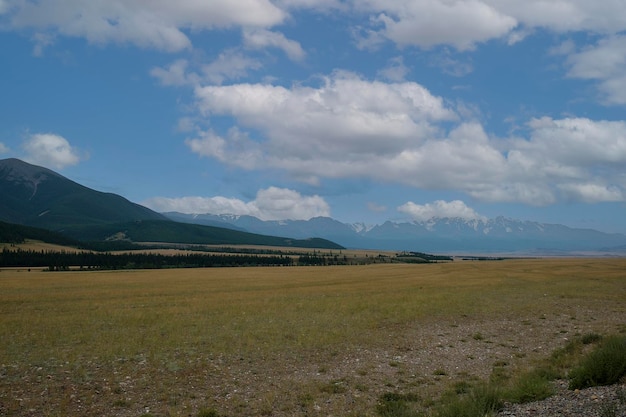 paesaggi mozzafiato viaggiando in estate Altai