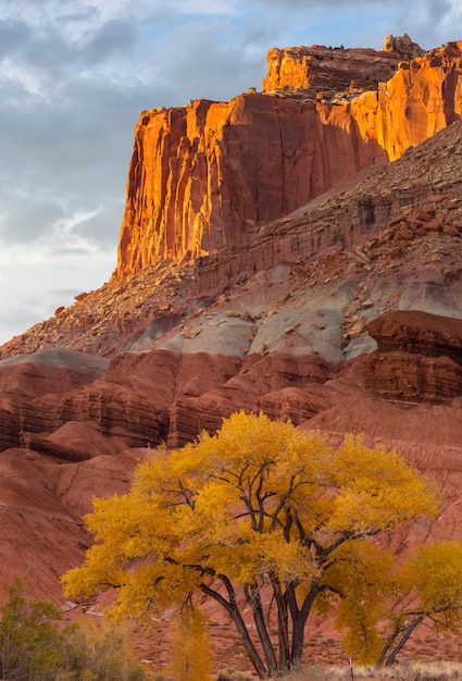 Paesaggi naturali insoliti nella stagione autunnale nel Parco nazionale di Capitol Reef nello Utah