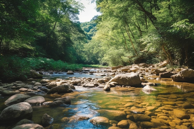 Paesaggi naturali minimalisti con messaggi ambientalixA