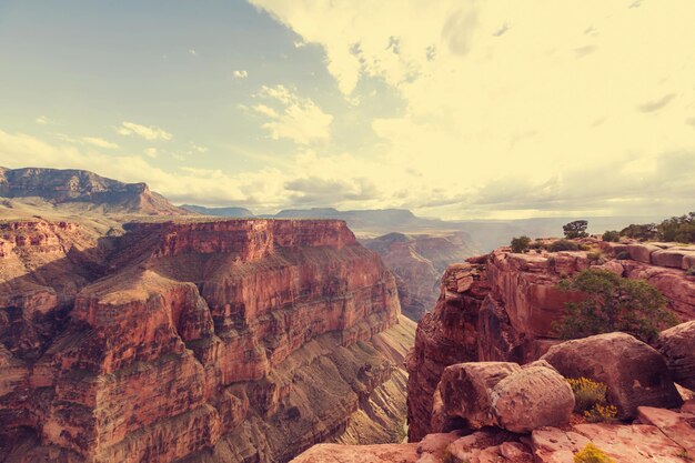 Paesaggi pittoreschi del Grand Canyon