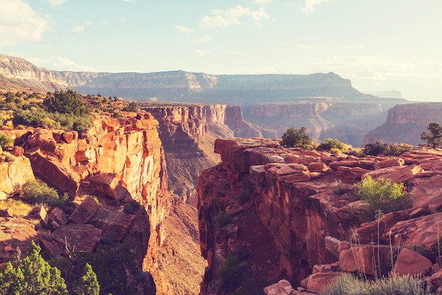 Paesaggi pittoreschi del Grand Canyon