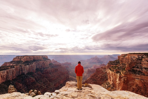Paesaggi pittoreschi del Grand Canyon
