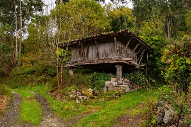 Paesaggi rurali dell'interno delle Asturie