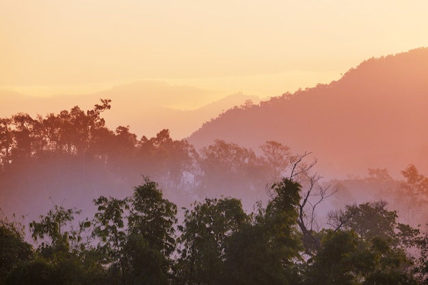 Paesaggi rurali nel nord della Thailandia