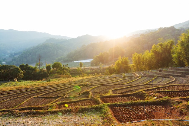 Paesaggi rurali nel nord della Thailandia