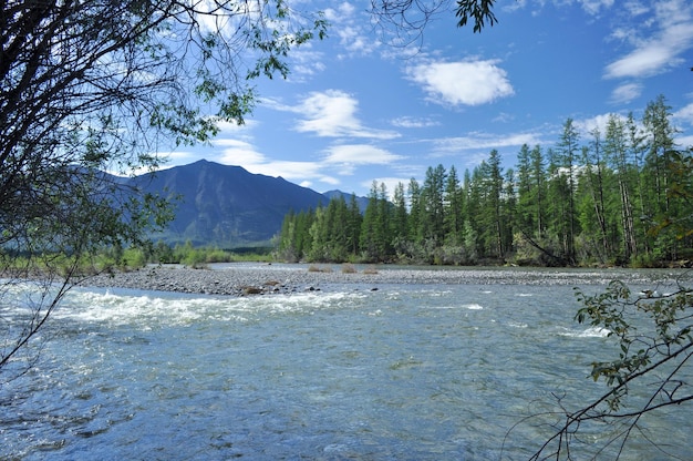 Paesaggio a nord del fiume