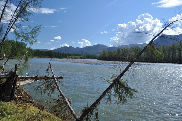 Paesaggio a nord del fiume