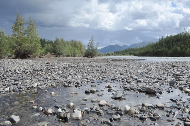 Paesaggio a nord del fiume