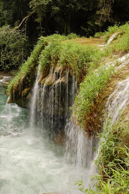 Paesaggio a Semuc Champey, Lanquin, Guatemala, America Centrale