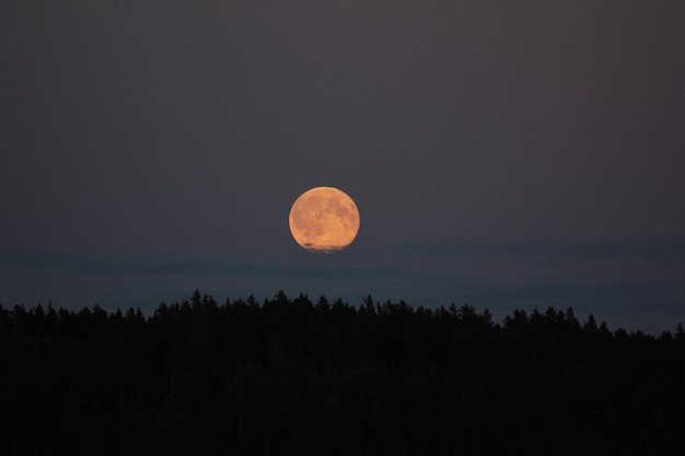 Paesaggio a silhouette contro il cielo notturno