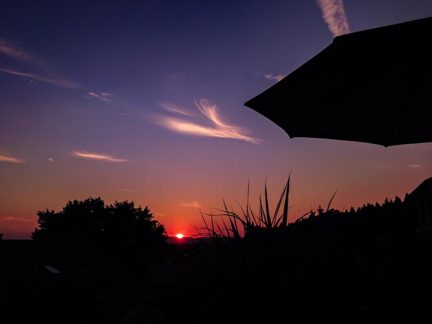 Paesaggio a silhouette contro il tramonto