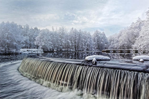 Paesaggio acquatico invernale Cascata alberi coperti di neve