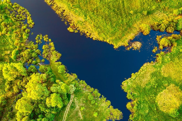 Paesaggio aereo del lago blu nella vista dall'alto del campo verde del bellissimo sfondo della natura dal paesaggio estivo stagionale del drone con lo spazio della copia