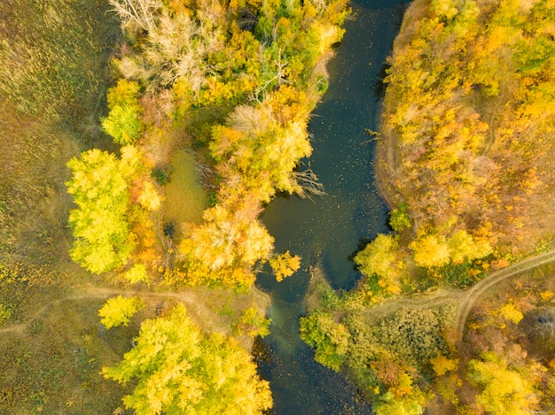 Paesaggio aereo di panorama della foresta della natura con il fiume sul tramonto