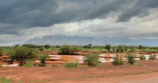 paesaggio africano