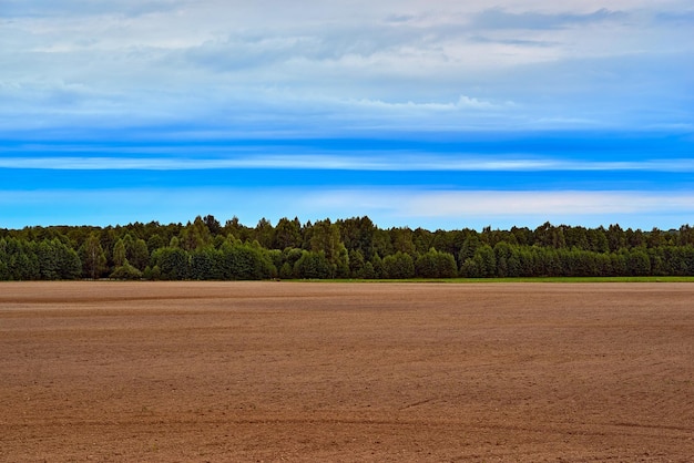 Paesaggio agricolo con campo di seminativi in primo piano e foresta all'orizzonte con cieli nuvolosi