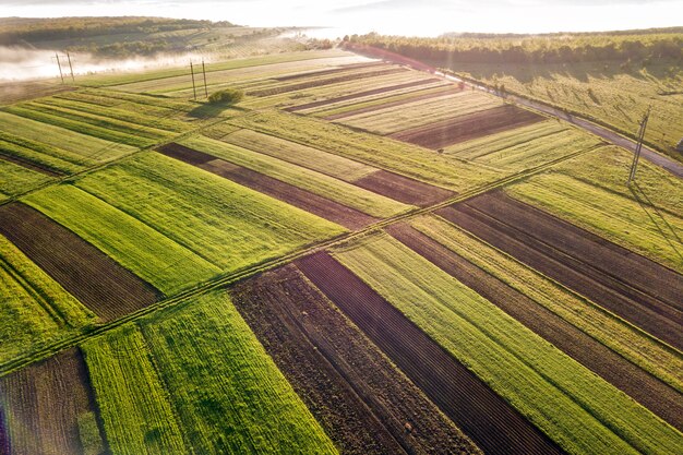 Paesaggio agricolo dall'aria sull'alba soleggiata della molla. Campi verdi e marroni, nebbia mattutina.