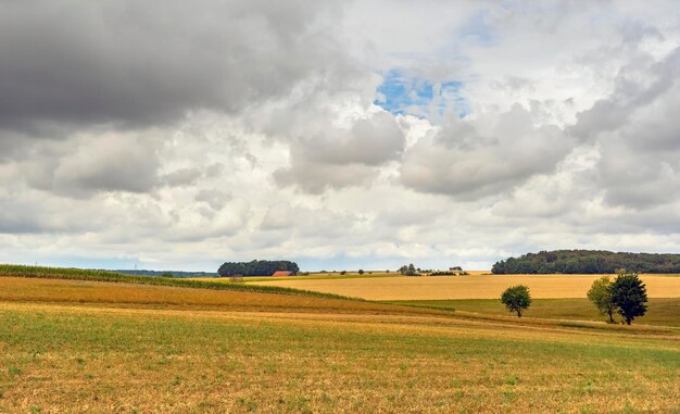 Paesaggio agricolo rurale