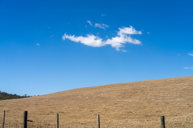 paesaggio agricolo secco caldo in Australia siccità in una fattoria con suolo nudo