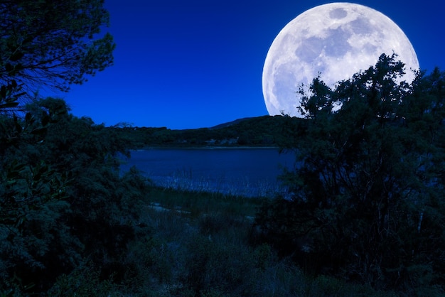 Paesaggio al lago di notte