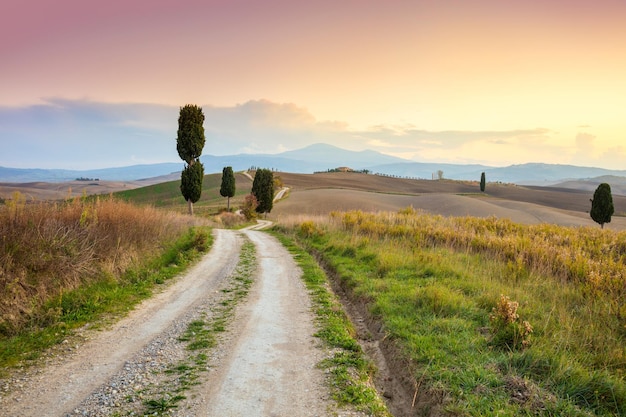 Paesaggio al tramonto strada terra e bellissimi cipressi Toscana natura Italia Europa