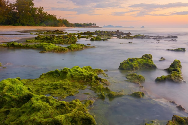 Paesaggio al tramonto sulle rocce della spiaggia in primo piano