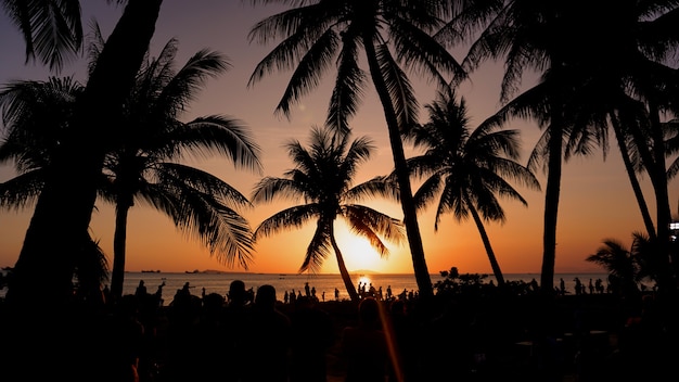 Paesaggio al tramonto. tramonto sulla spiaggia. sagoma di palme sulla spiaggia tropicale al tramonto, Cina