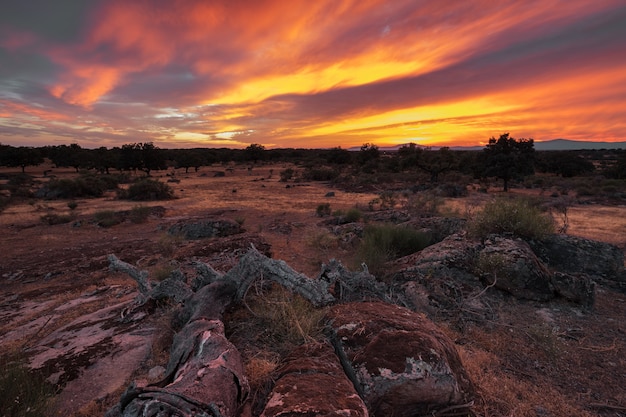 Paesaggio al tramonto vicino a Guijo de Galisteo. Extremadura. Spagna.