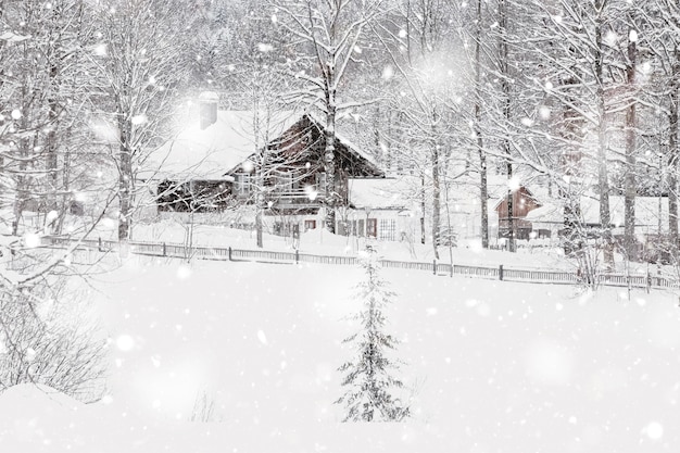 Paesaggio alpino bavarese invernale innevato