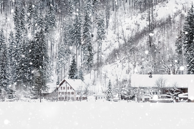 Paesaggio alpino bavarese invernale innevato