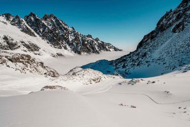 Paesaggio alpino con neve bianca e cielo blu Alberi gelidi sotto la calda luce del sole Meraviglioso paesaggio invernale Avventura sport invernale Alti Tatra slovacchia paesaggio