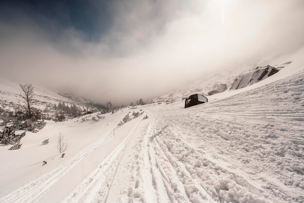 Paesaggio alpino con neve bianca e cielo blu Alberi gelidi sotto la calda luce del sole Meraviglioso paesaggio invernale Avventura sport invernale Alti Tatra slovacchia paesaggio
