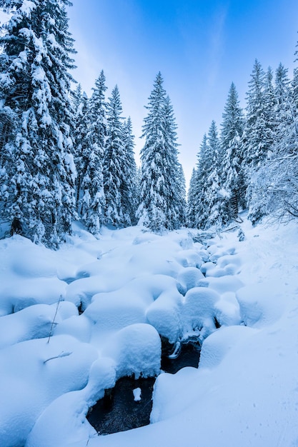 Paesaggio alpino con neve bianca e cielo blu Tramonto invernale in natura Alberi gelidi sotto la calda luce del sole Meraviglioso paesaggio invernale