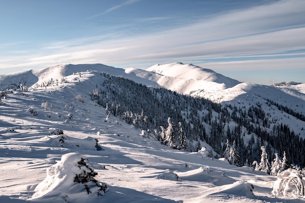 Paesaggio alpino con neve bianca e cielo blu Tramonto invernale in natura Alberi gelidi sotto la calda luce del sole Meraviglioso paesaggio invernale