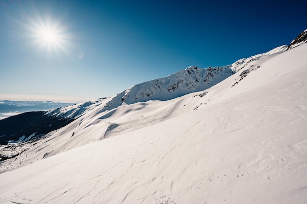 Paesaggio alpino con neve bianca e cielo blu Tramonto invernale in natura Alberi gelidi sotto la calda luce del sole Meraviglioso paesaggio invernale