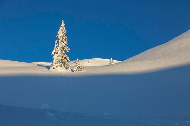 Paesaggio alpino con neve bianca e cielo blu Tramonto invernale in natura