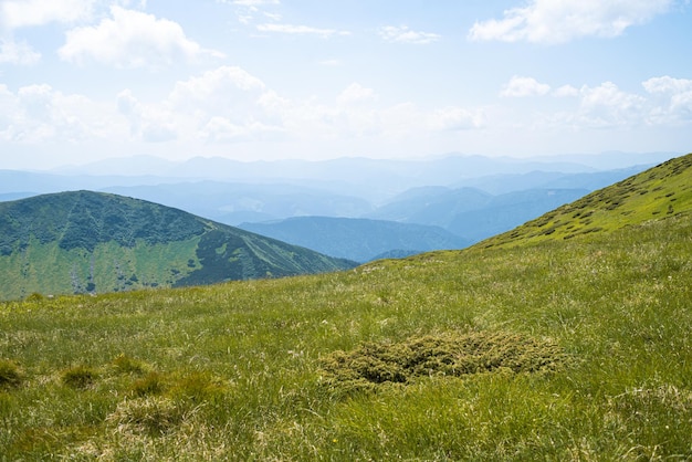 Paesaggio alpino in estate