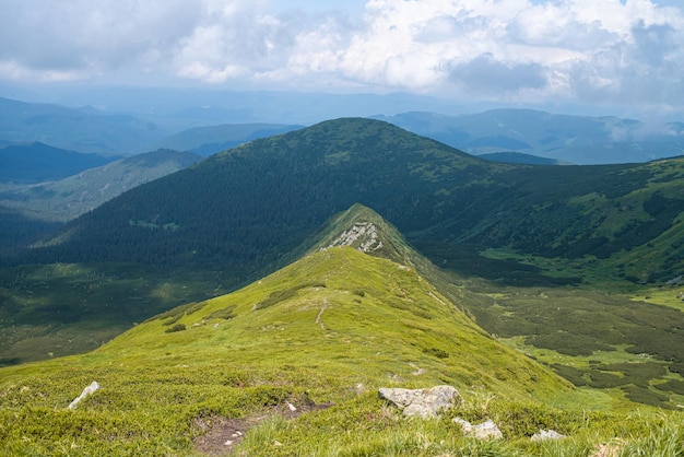 Paesaggio alpino in estate