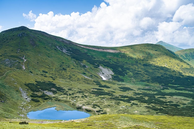 Paesaggio alpino in estate