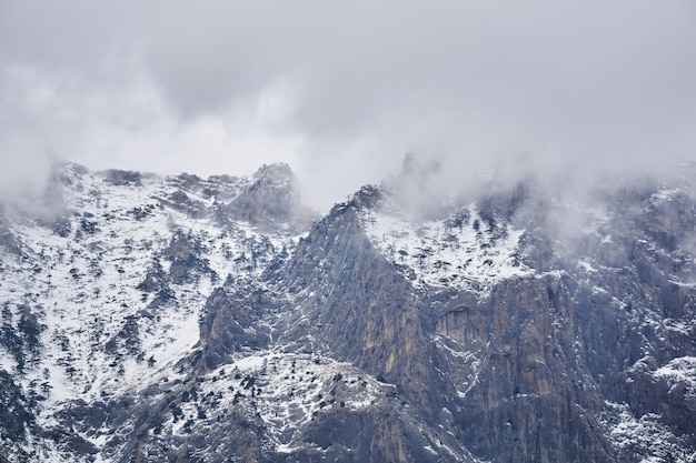 Paesaggio alpino invernale - scogliere rocciose innevate con rari pini si nascondono nella nebbia nuvolosa