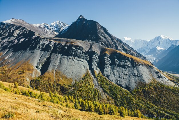 Paesaggio alpino scenico con pinnacolo di roccia tagliente e montagna innevata alla luce del sole in autunno. Paesaggio di montagna eterogeneo con montagna arancio nera grigia con cima affilata al sole sopra la foresta autunnale