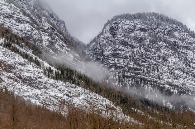 paesaggio alpino