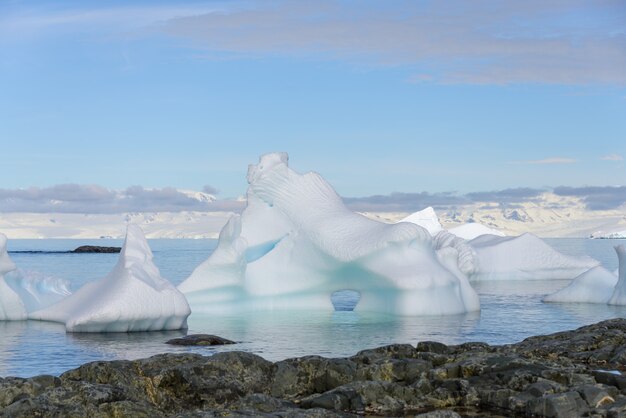 Paesaggio antartico con iceberg