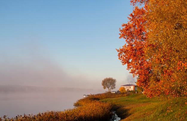 Paesaggio autunnale alberi autunnali dorati nella nebbia sulle rive del fiume