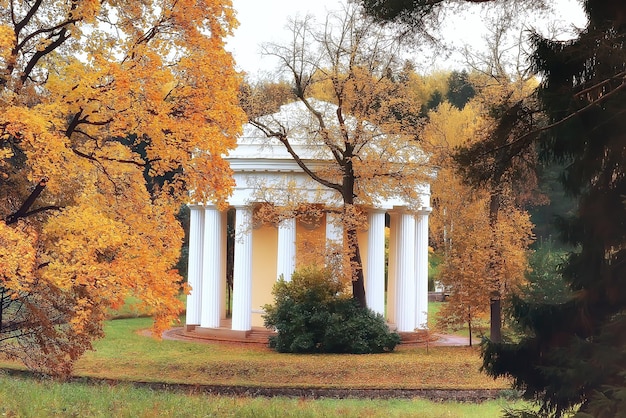 paesaggio autunnale / alberi gialli nel parco autunnale, foresta di aranci luminosi