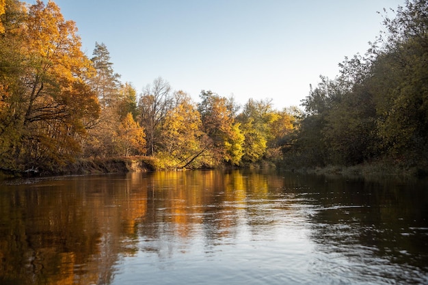 Paesaggio autunnale Alberi gialli sulla riva di un fiume di foresta al tramonto Paesaggio in colori caldi di luce solare