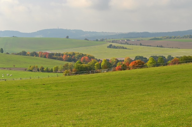 Paesaggio autunnale Bella natura colorata nel periodo autunnale Repubblica ceca sfondo stagionale