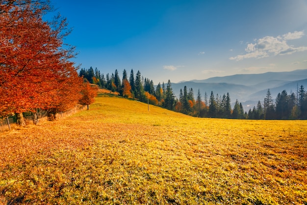 Paesaggio autunnale colorato